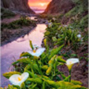 Meet your Posher, Susana